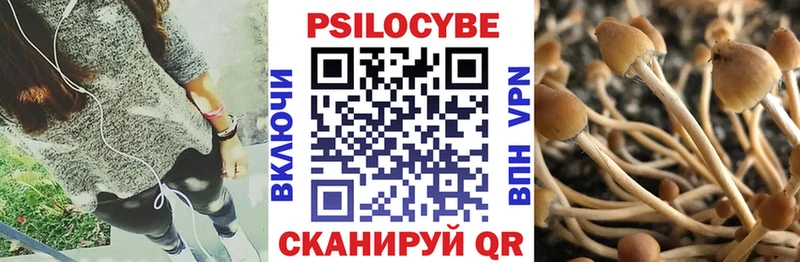 Галлюциногенные грибы Psilocybine cubensis Краснообск