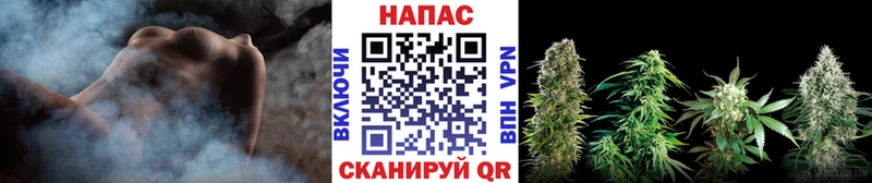 Марихуана VHQ  купить  цена  Краснообск 